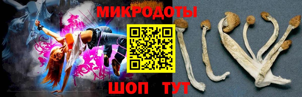 Галлюциногенные грибы Cubensis Новозыбков